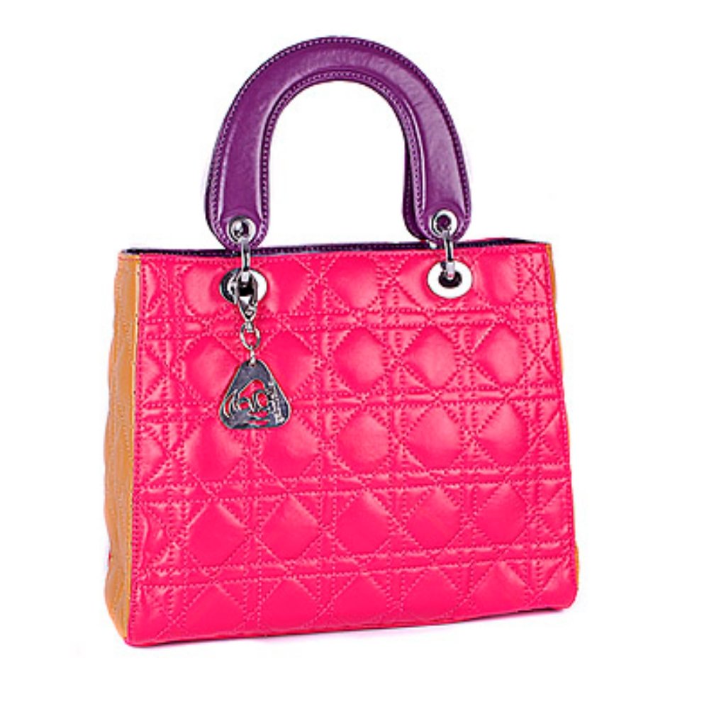 hot pink clear purse